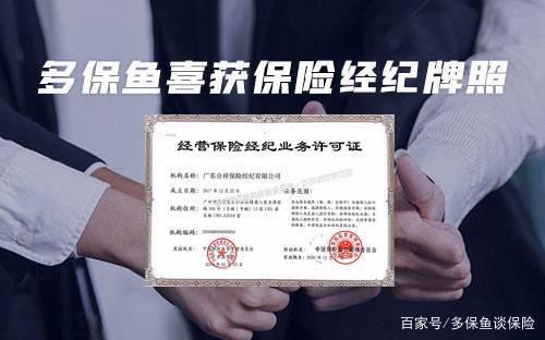 多保魚獲保險經紀牌照，智慧擁抱互聯網保險新規